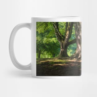 Belfast Woods Mug